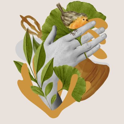 Image pour le nombre de choix 1