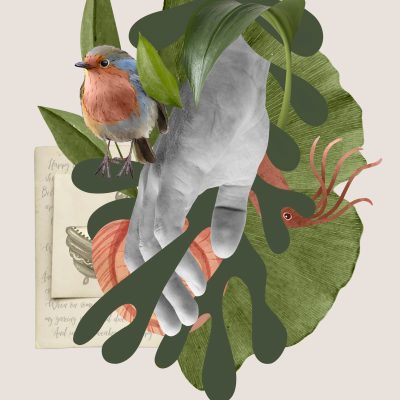 Image pour le nombre de choix 3